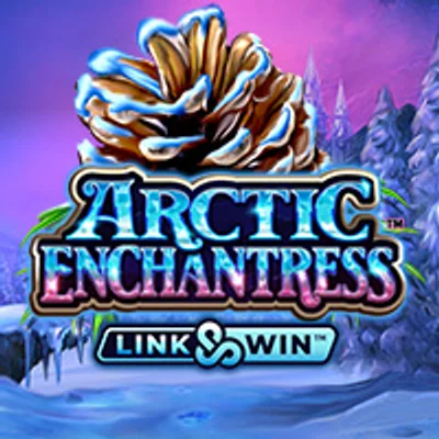 Arctic Enchantress