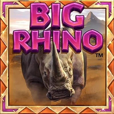 Big Rhino