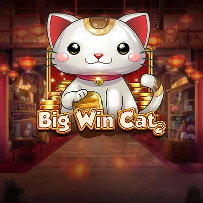 Big Win Cat