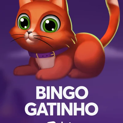 Bingo Gatinho