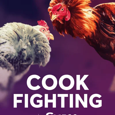 Cockfighting