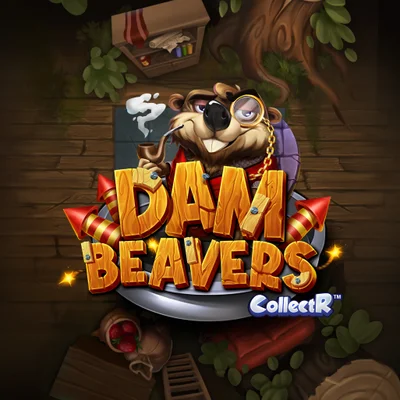 Dam Beavers