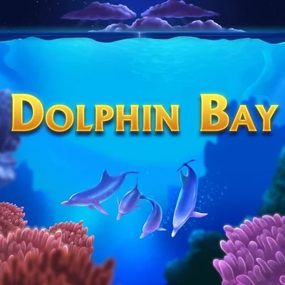 Dolphin Bay