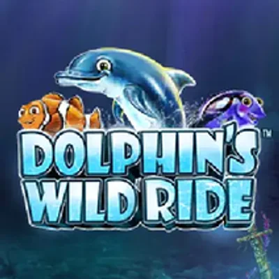 Dolphin's Wild Ride