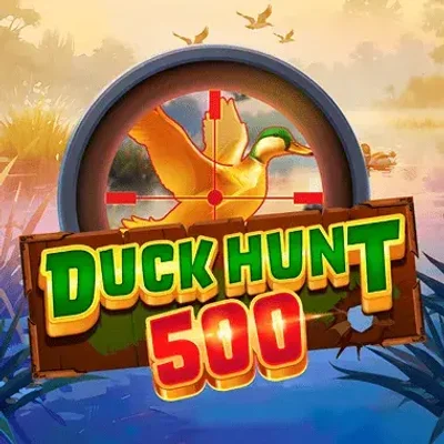 Duck Hunt 500