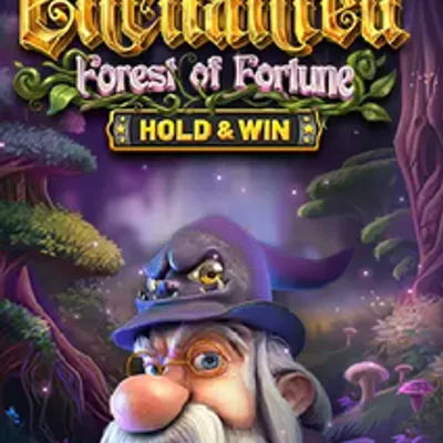 Enchanted: Forest of Fortune - Hold and Win