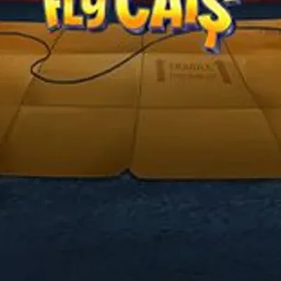 Fly Cat$