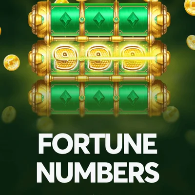 Fortune Numbers