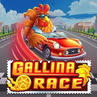 Gallina Race
