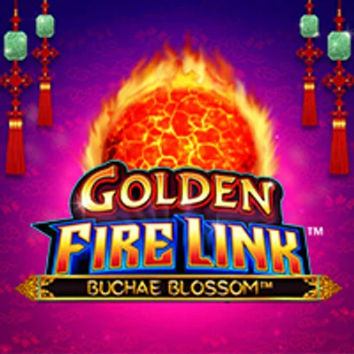 Golden Fire Link Buchae Blossom