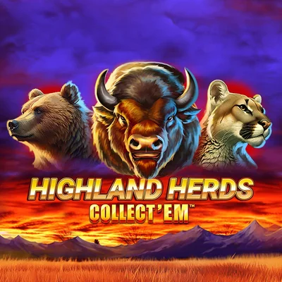 Highland Herds