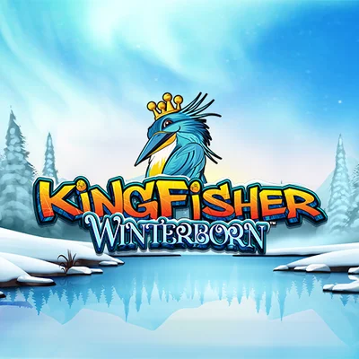 Kingfisher Winterborn