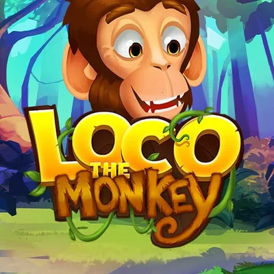 Loco the Monkey