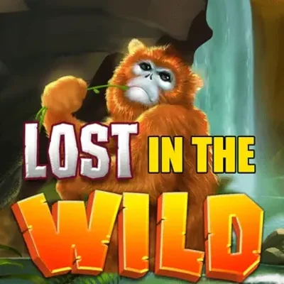 Lost in the Wild + Reel Bingo