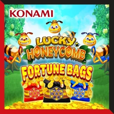 Lucky Honeycomb Fortune Bags