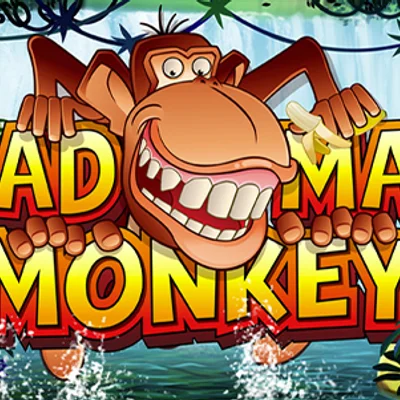 Mad Mad Monkey HQ