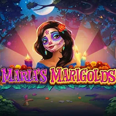 Maria's Marigold