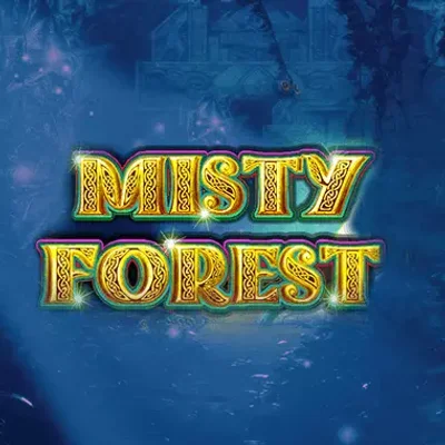 Misty Forest
