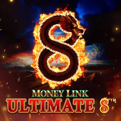 Money Link Ultimate 8