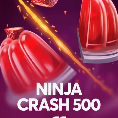 Ninja Crash 500