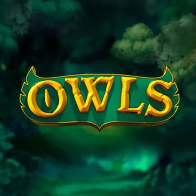 Owls