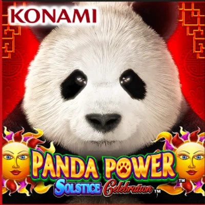 Panda Power Solstice Celebration