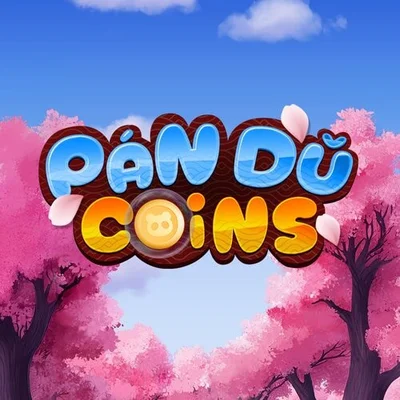 Pan Du Coins