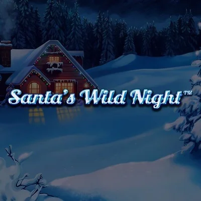 Santa’s Wild Night