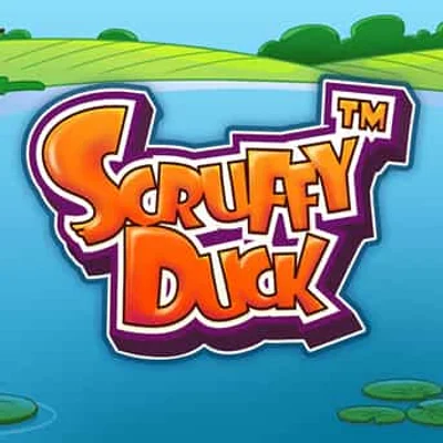 Scruffy Duck