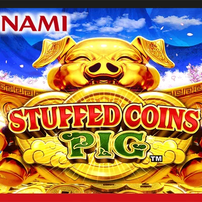 Stuffed Coins Pig