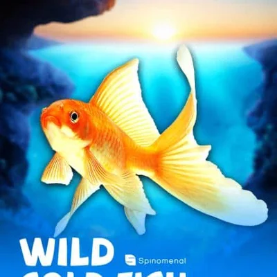 Wild Gold Fish