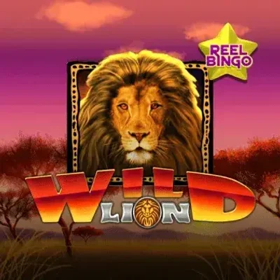 Wild Lion + Reel Bingo